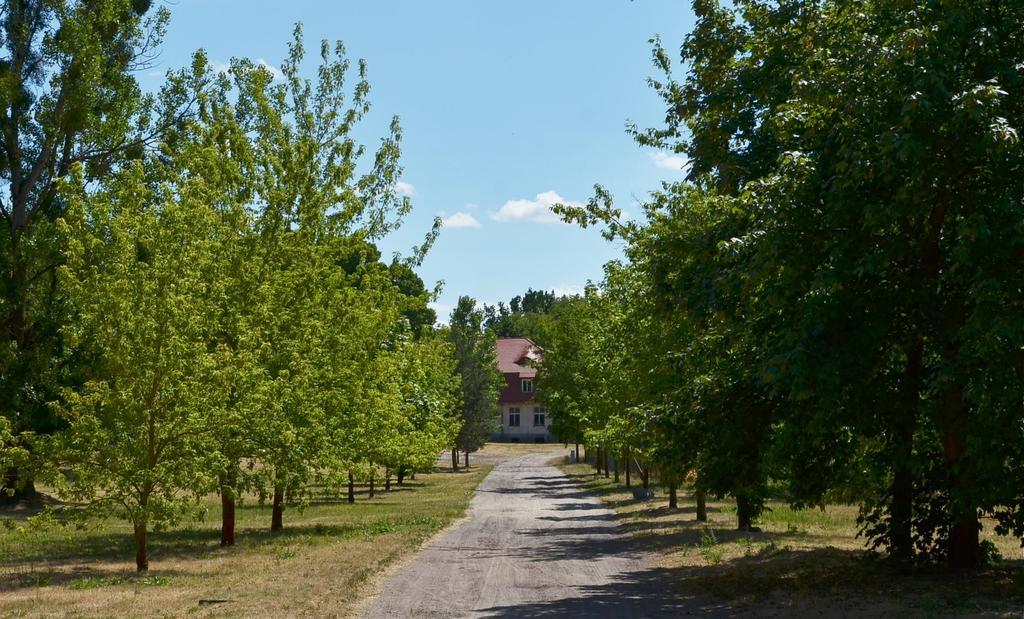 Gospodarstwo Nad Jeziorem Zalom  Экстерьер фото