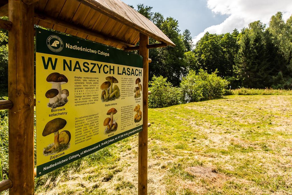Gospodarstwo Nad Jeziorem Zalom  Экстерьер фото