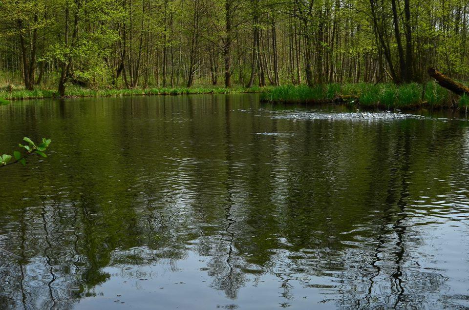 Gospodarstwo Nad Jeziorem Zalom  Экстерьер фото